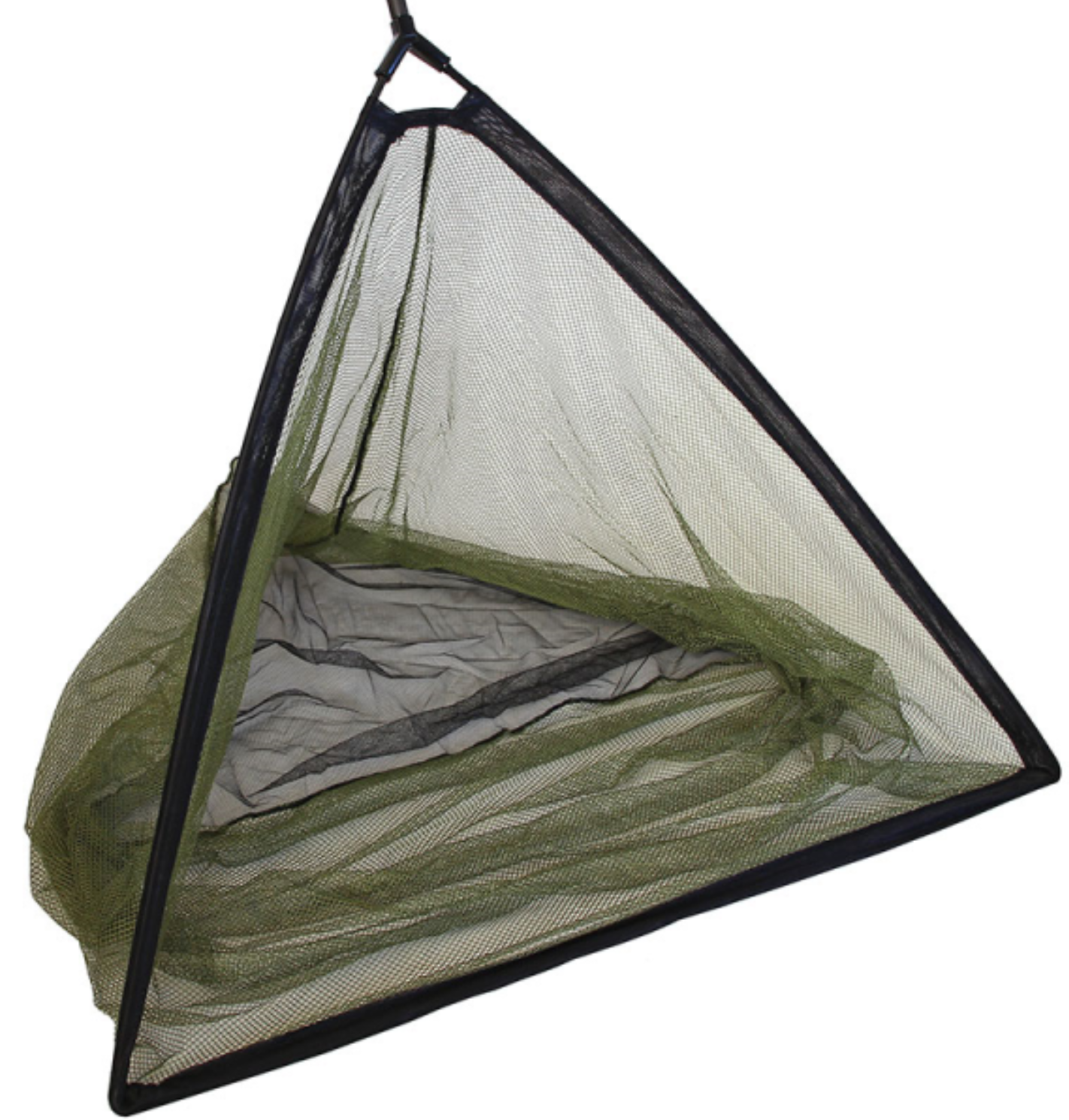 Carp Net